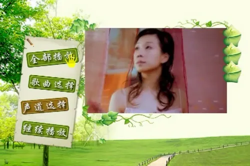 港台经典珍藏版
