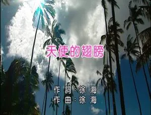 2010内地徐誉滕天使的翅膀MV高清音乐视频