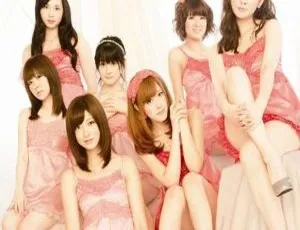 Berryz工房日本演唱会2011：シングルVクリップス⑤ 高清现场完整版