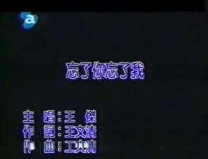 2003王杰经典MV《忘了你 忘了我》MPG高清版-蓝海网