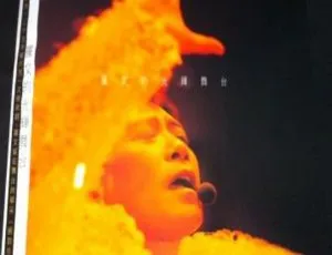 罗文光辉舞台演唱会2003内地现场版APE分轨-蓝海网