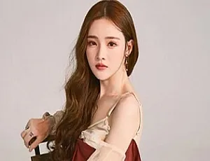 戴羽彤热门歌曲298首合集 FLAC无损音质-蓝海网