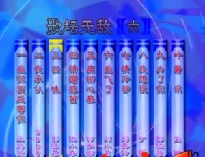 群星金曲精选 - 歌坛无敌06 KTV原盘典藏