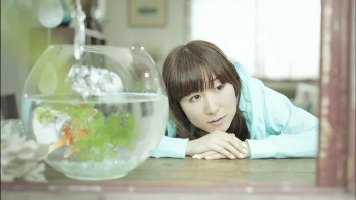 ChouCho Bouquet 2016蓝光原盘