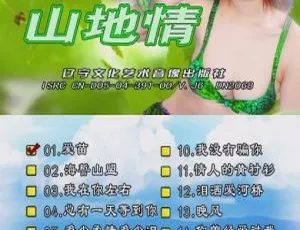 山地情歌泳装版花仙子KTV DVD专辑金曲-蓝海网