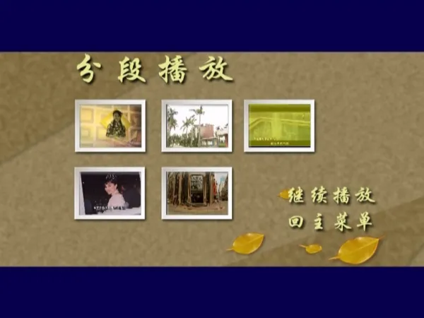 邓丽君何日君再来
