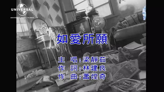 如爱所愿国语MV高清