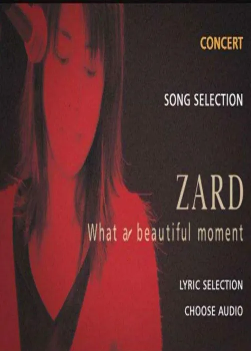 ZARD坂井泉水演唱会DVD