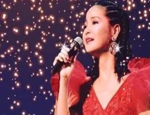 2005香港邓丽君青春少女篇1 爱情123经典专辑-蓝海网