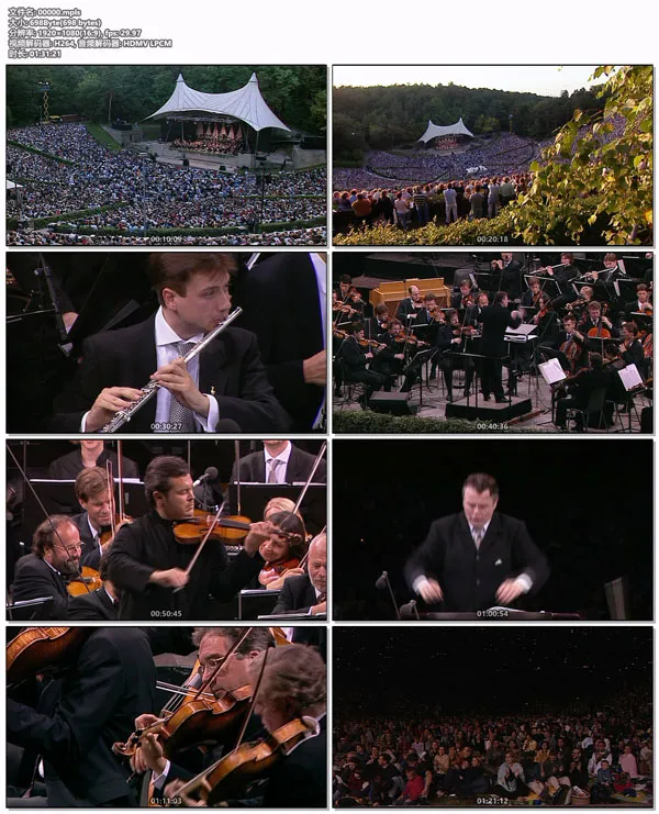 Vadim Repin concert