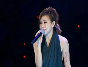 林忆莲 Sandy Lam 2012香港MMXI演唱会 超清4K现场 经典珍藏版