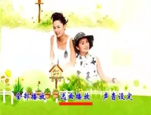 港台女声KTV经典合集 群星一人一首精选碟2 DVD ISO高清