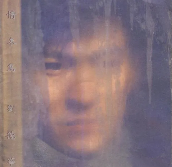情未鸟 无损音质