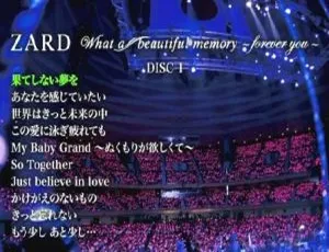 坂井泉水What a beautiful memory 20周年纪念演唱会DVD完整版-蓝海网