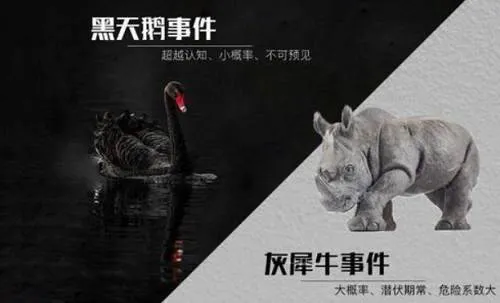 风险管理模型