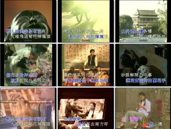 LD转制DVD原盘