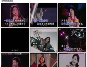 邓丽君经典珍藏精选 超清KTV无损音质 音乐专辑