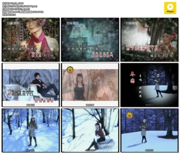 2DVD珍藏版