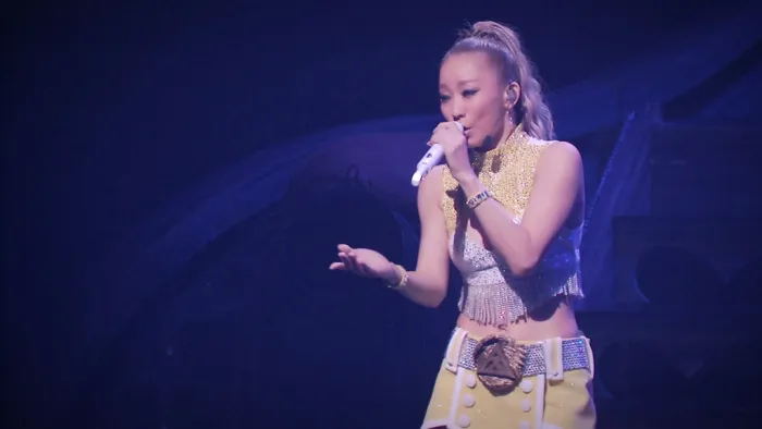 倖田来未 Black Cherry巡演