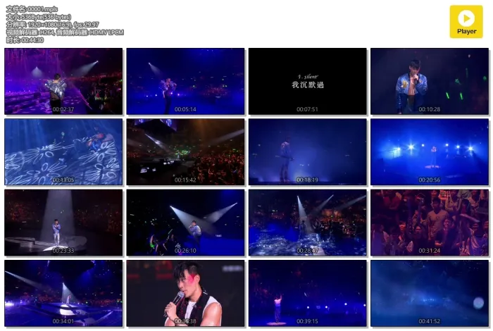 红馆演唱会现场实况