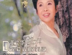董文华 池中萍 经典专辑 无损音质珍藏版