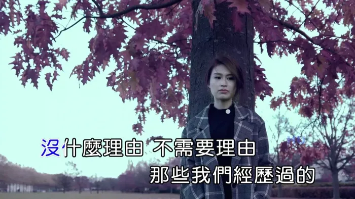 获得 国语MV MPG高清版