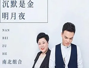 南北组合经典歌曲合集FLAC/MP3高品质音源-蓝海网