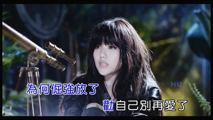 2017国语MV高清版