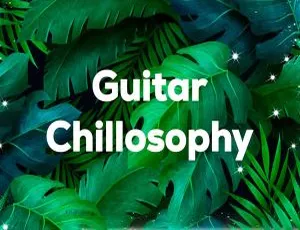 Chillhop Guitar: Guitar Chillosophy 2023 | 24Bit-44.1kHz Hi-Res Flac