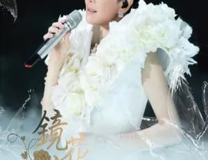 江蕙2013镜花水月演唱会LIVE完整版 台湾演唱会现场实况 高清珍藏