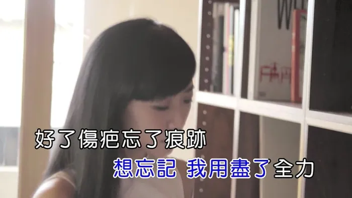 2016内地国语版