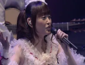 田村由香里17岁祭典2013日本演唱会蓝光版高清收藏