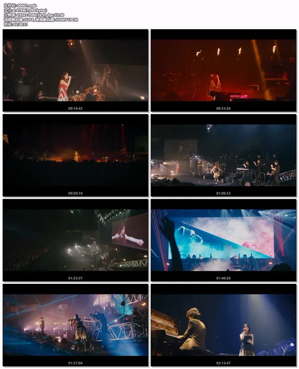 日本武道館 ライブ 豪华盤
