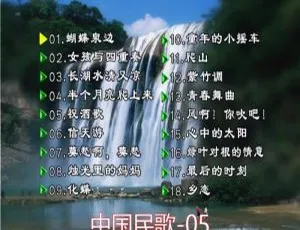 群星中国民歌花仙子版碟5 KTV DVD原盘高清
