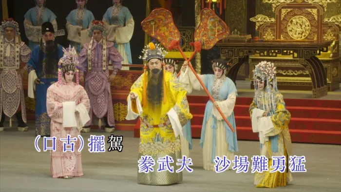 龙剑笙帝女花珍藏版