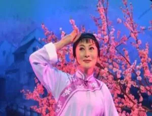 淮剧经典唱段精选 225视频+881音频 中国风戏曲精华典藏-蓝海网