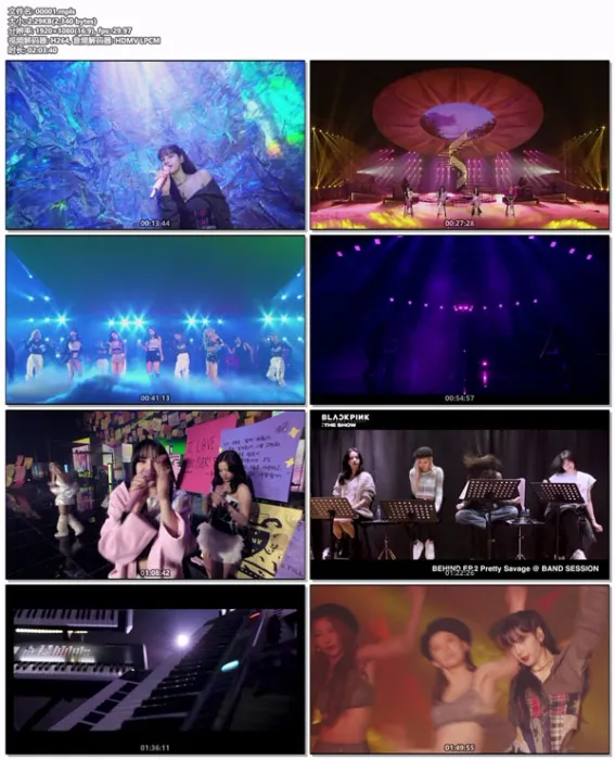 BLACKPINK蓝光典藏版