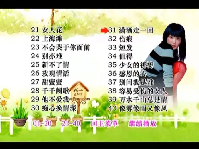 DVD ISO高清原盘