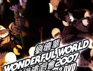 刘德华2007香港演唱会卡拉OK版 Wonderful World 3DVD珍藏-蓝海网