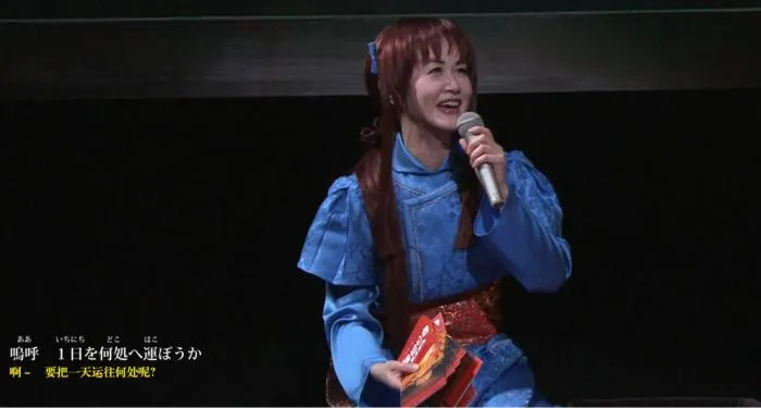 2008日本演唱会