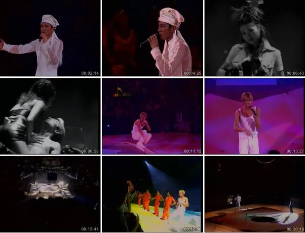 刘德华红馆演唱会DVD