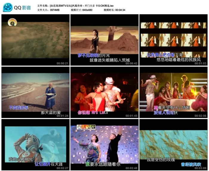 开门大吉DVD原盘
