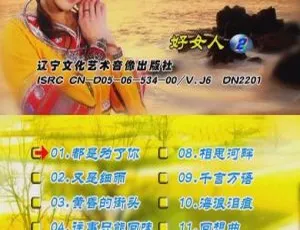 山地情歌 – 好女人版（花仙子）KTV DVD原盘专辑-蓝海网