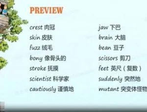 英国早教动画神奇树屋精讲全6集 国语版高清早教启蒙课程
