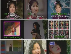 邓丽君经典优必胜精选KTV原声DVD-ISO双碟典藏版-蓝海网