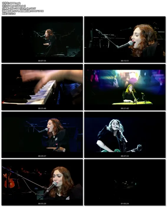 Regina Spektor 2010伦敦演唱会