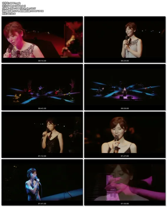 柴田淳 月光之夜 演唱会
