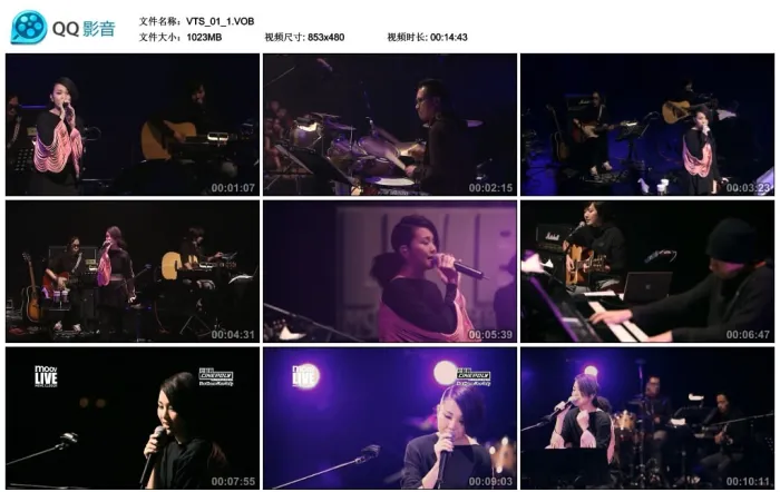谢安琪演唱会DVD