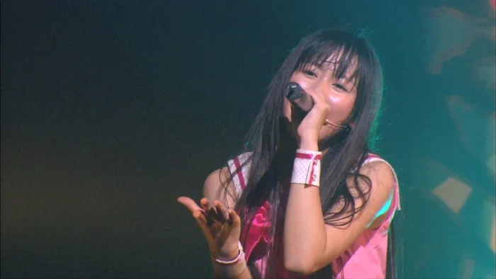 桃色幸运草Z女祭2011