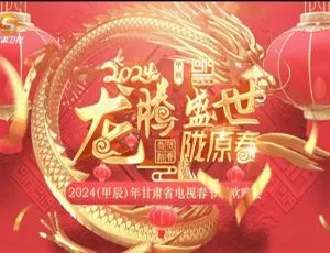 龙腾盛世陇原春2024 1080i H264 HDTV TS 7.94GB高清版-蓝海网